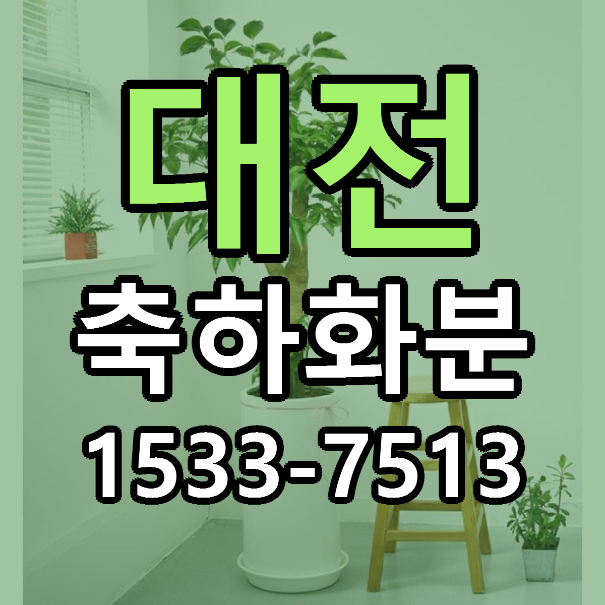 대전 축하화분 빠른배송 싼곳 가격 문의