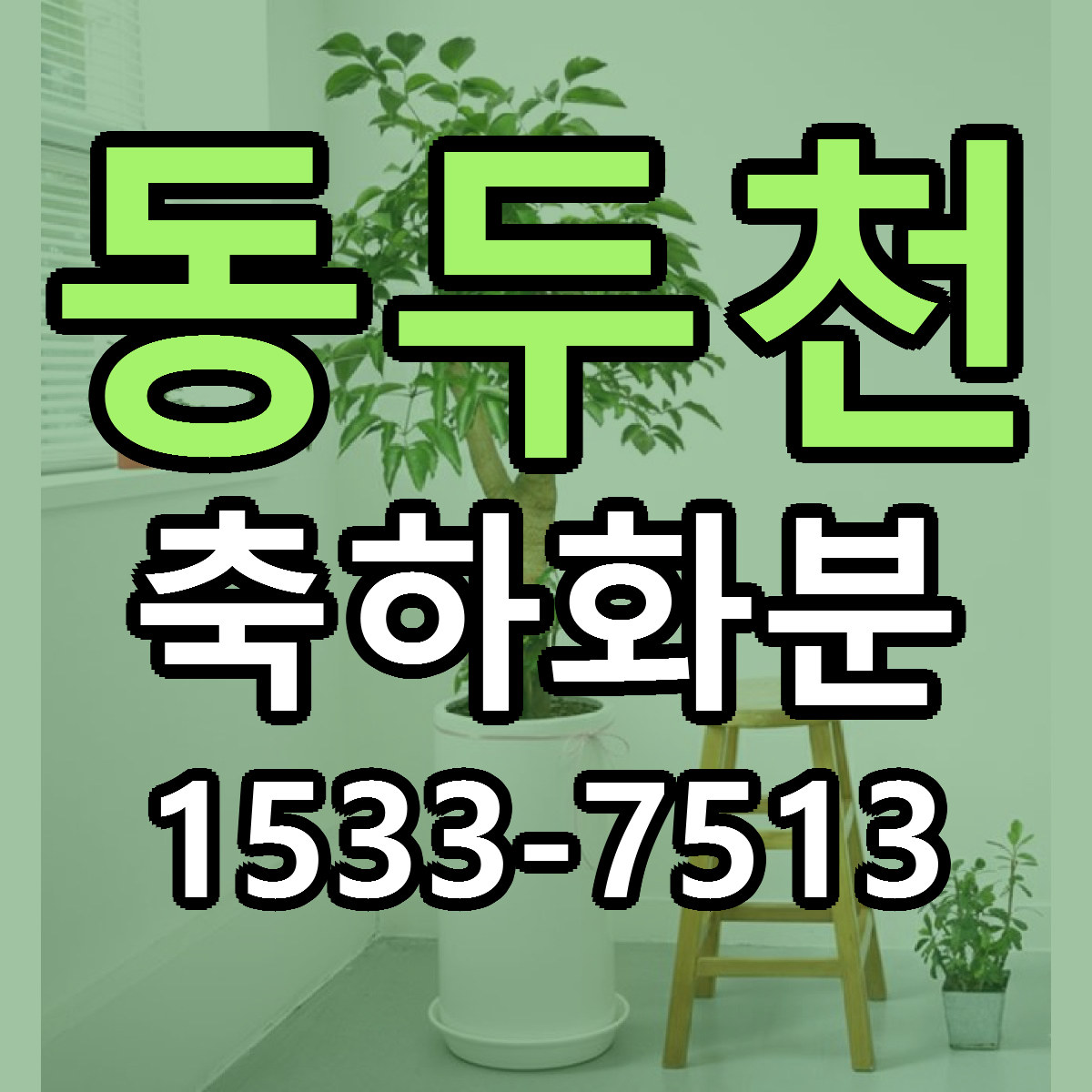 동두천 축하화분 당일배송 싼곳 리본문구 안내