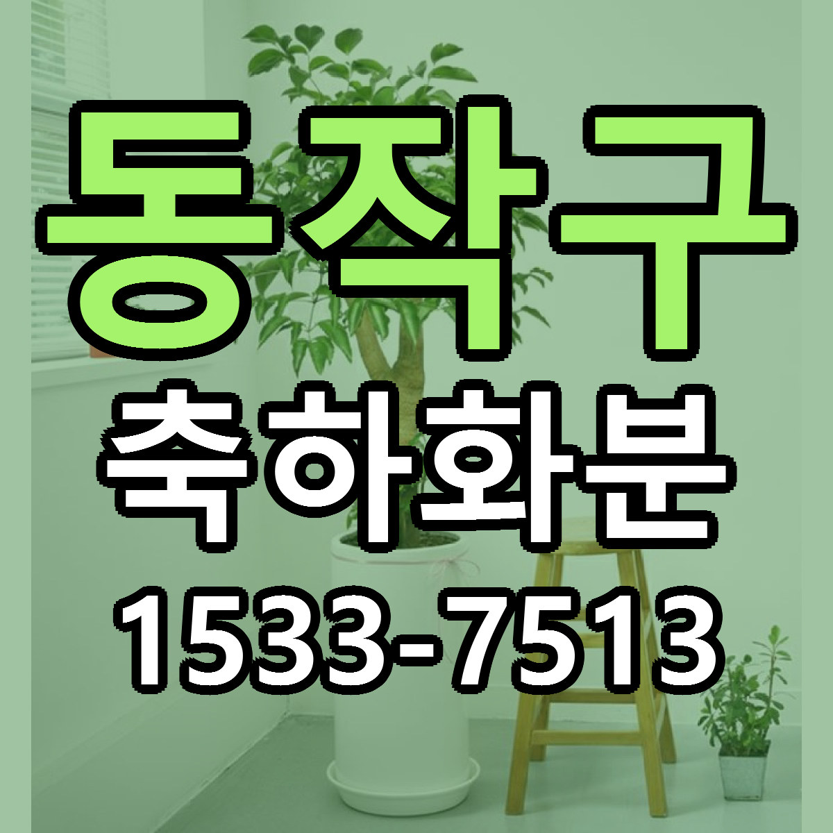 동작구 축하화분 빠른배송 싼곳 가격 문의