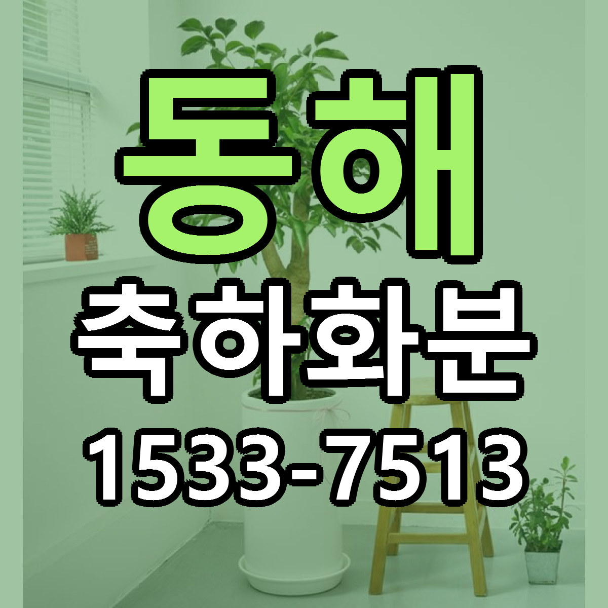 동해 축하화분 당일배송 저렴한곳 리본문구 추천