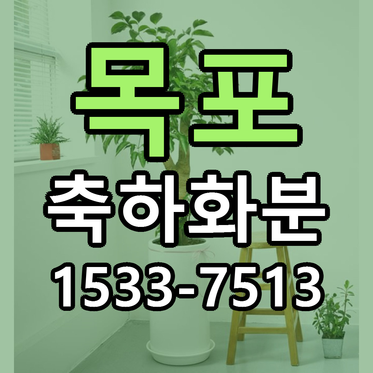 목포 축하화분 근처꽃집 당일배송 리본문구 서비스