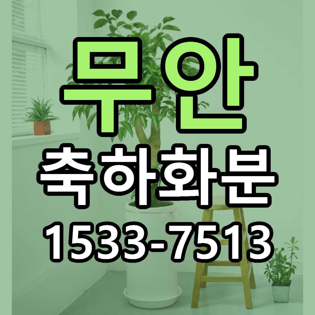 무안 축하화분 가격 만족 저렴한곳 리본문구 작성