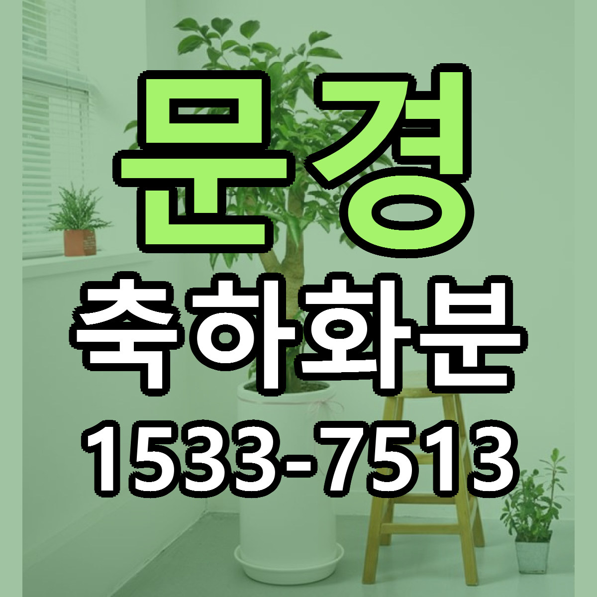 문경 축하화분 당일배송 리본문구 싼곳 찾기