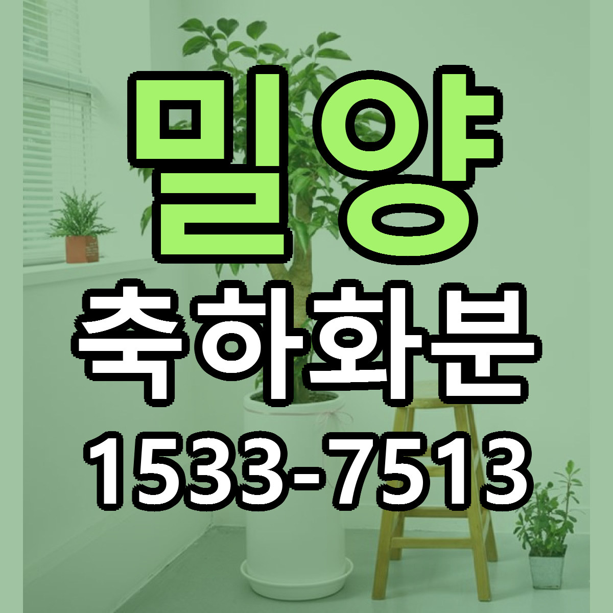 밀양 축하화분 당일배송 싼곳 리본문구 안내