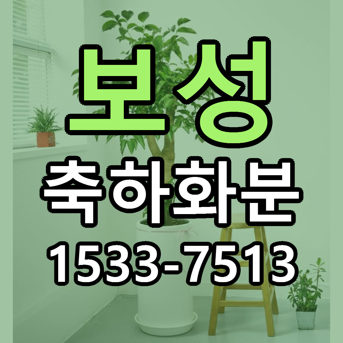 보성 축하화분 당일배송 가격 저렴한곳 추천