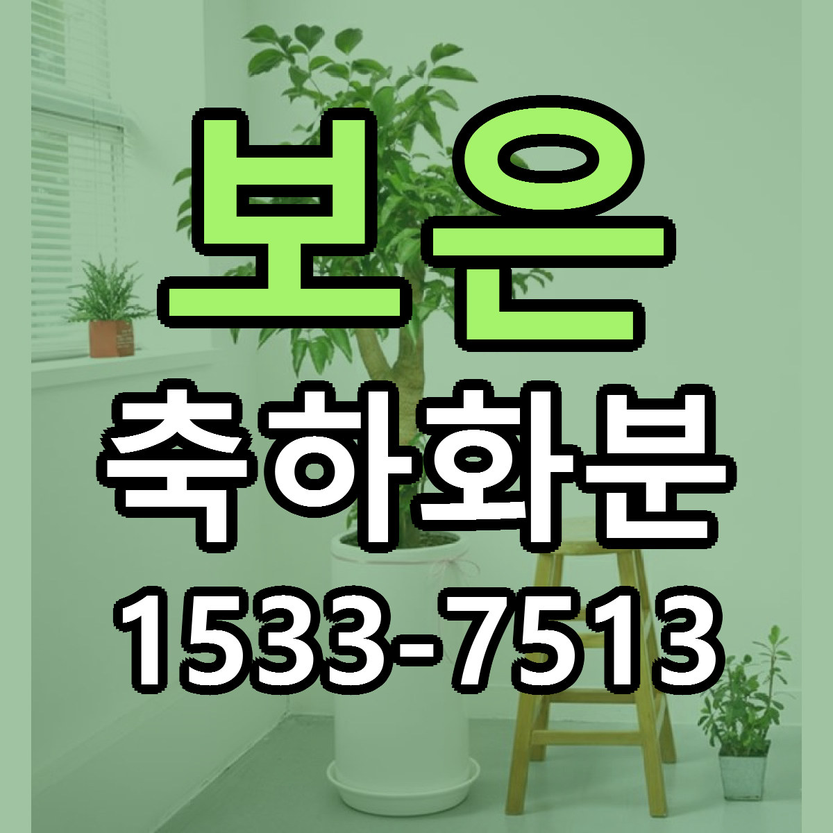 보은 축하화분 빠른배송 근처꽃집 가격 비교