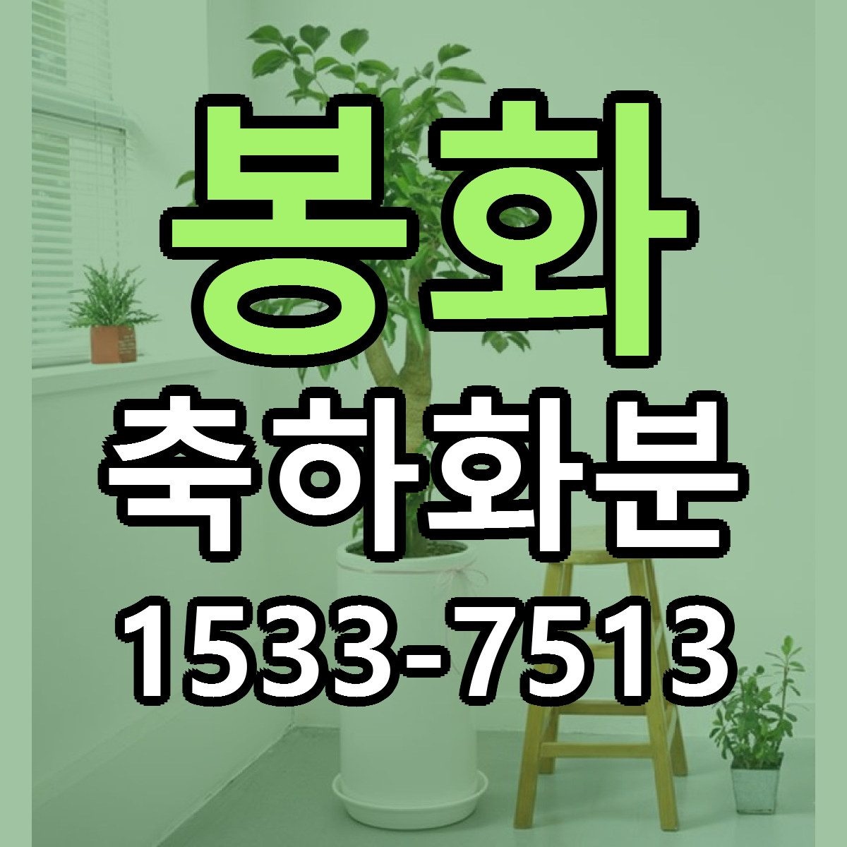 봉화 축하화분 당일배송 빠른배송 싼곳 찾기