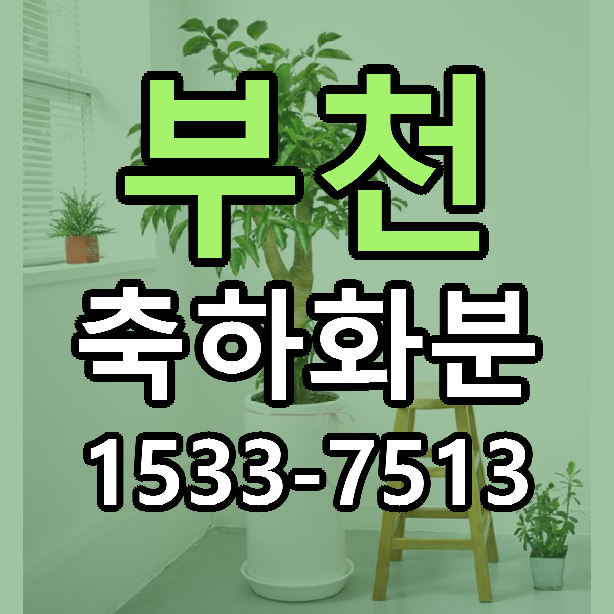 부천 축하화분 빠른배송 리본문구 근처꽃집 예약
