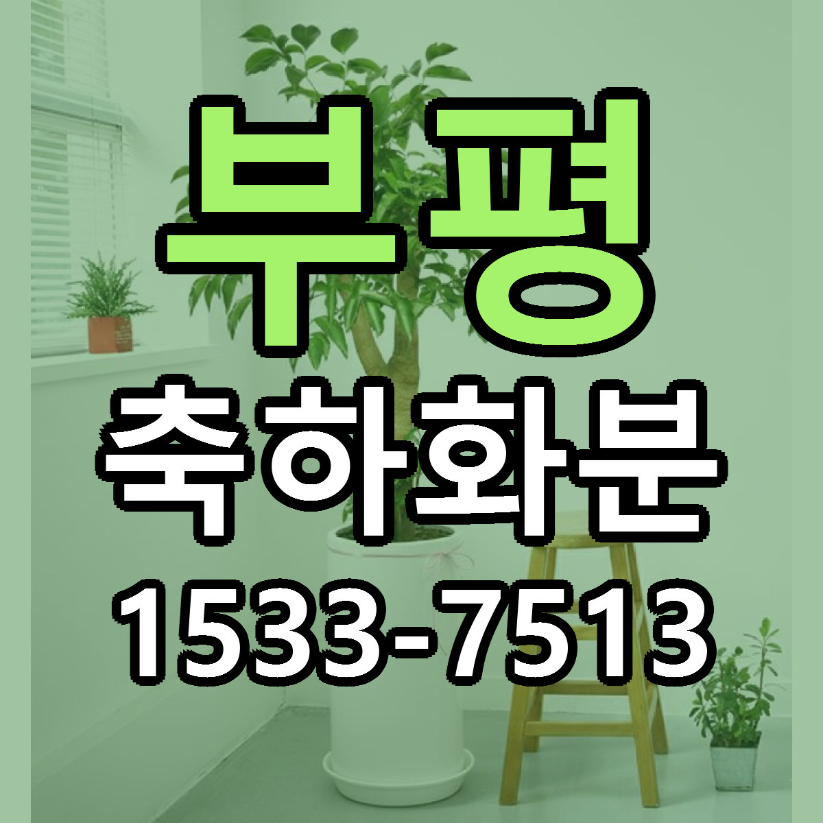 부평 축하화분 근처꽃집 당일배송 가격 안내