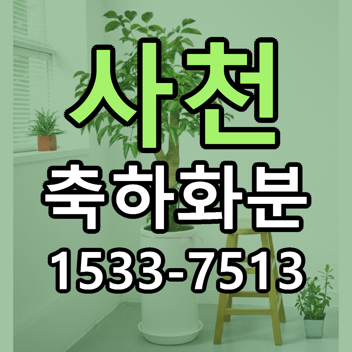 사천 축하화분 근처꽃집 가격 저렴한곳 안내
