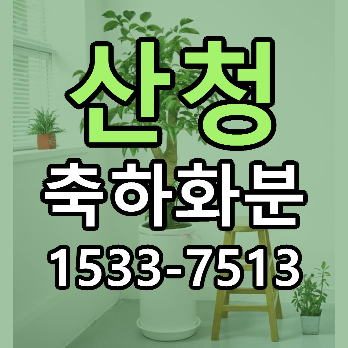 산청 축하화분 가격 착한 싼곳 당일배송 안내