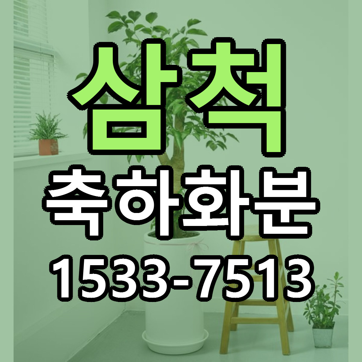 삼척 축하화분 근처꽃집 당일배송 리본문구 서비스