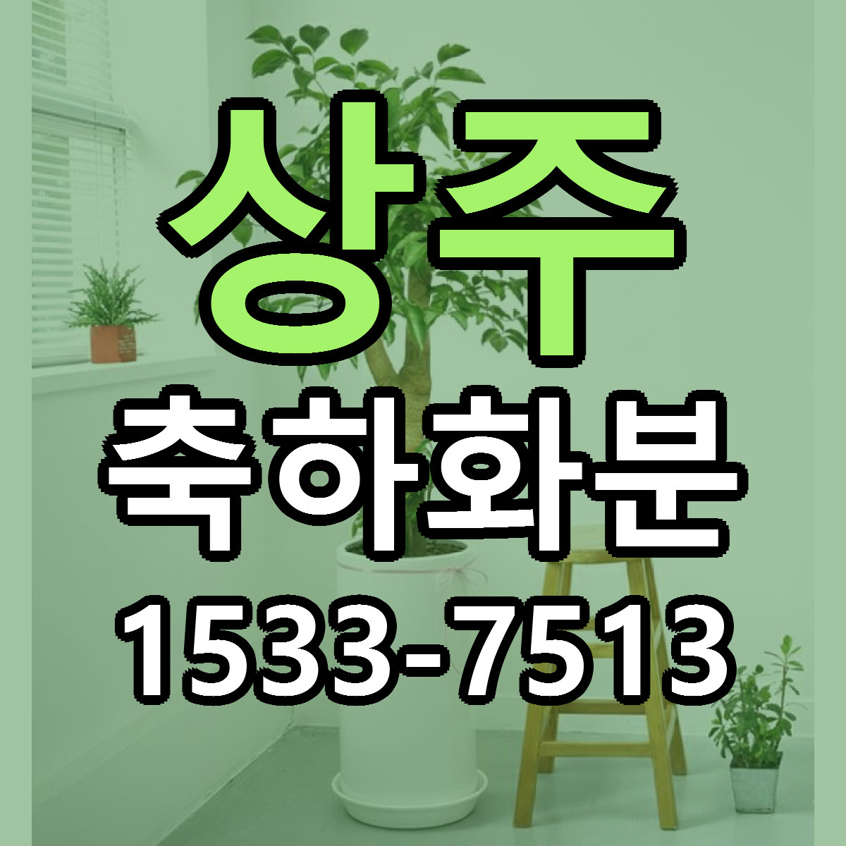 상주 축하화분 당일배송 근처꽃집 싼곳 비교