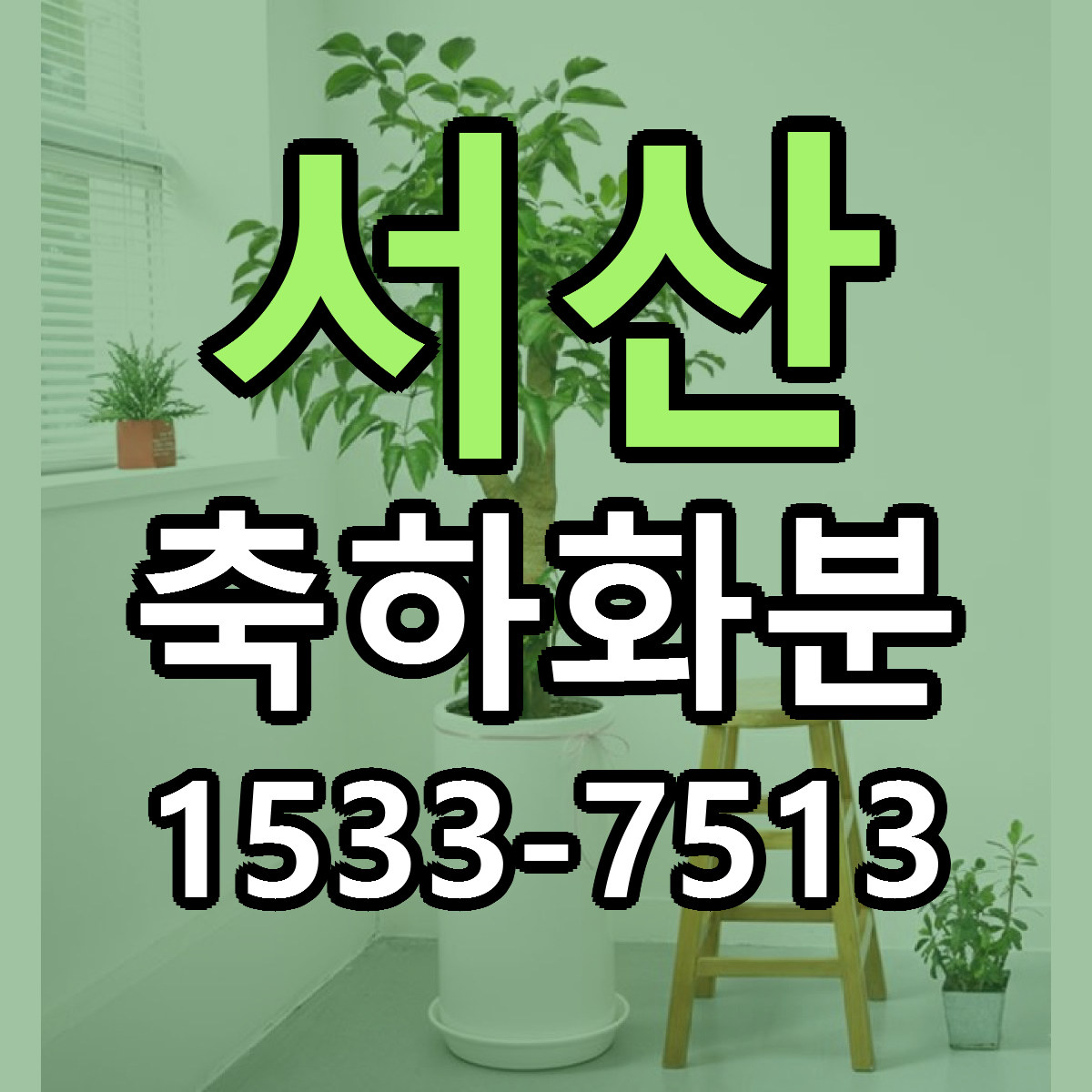 서산 축하화분 근처꽃집 가격 저렴한곳 안내