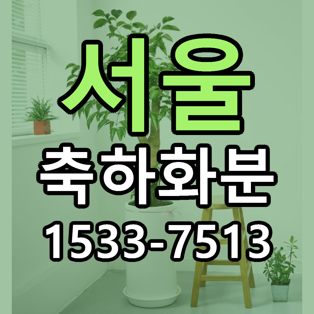 서울 축하화분 싼곳 빠른배송 리본문구 무료