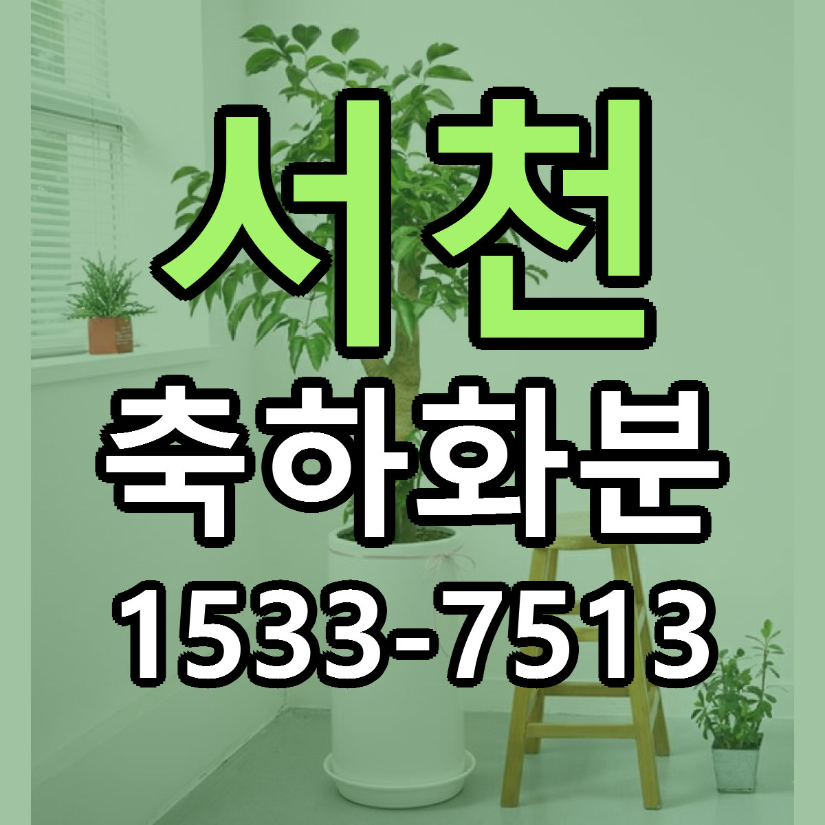 서천 축하화분 빠른배송 리본문구 가격 알뜰 비교