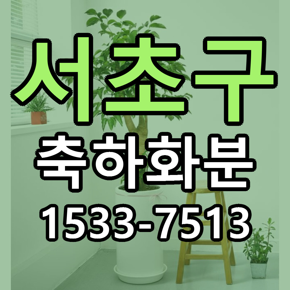서초구 축하화분 근처꽃집 싼곳 빠른배송 안내