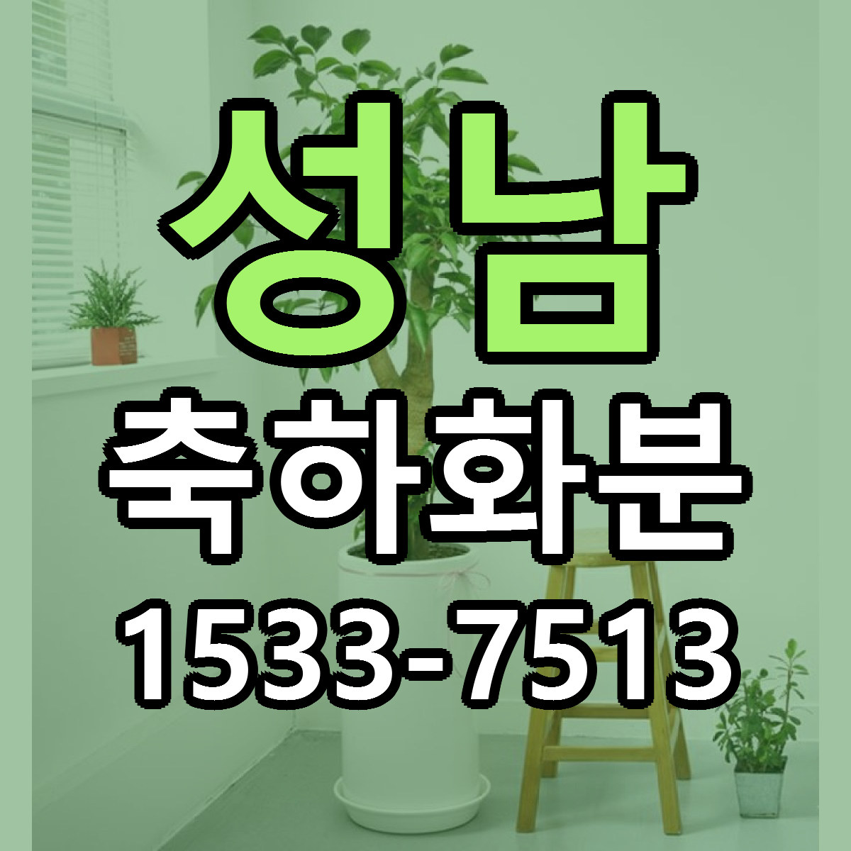 성남 축하화분 근처꽃집 당일배송 리본문구 서비스