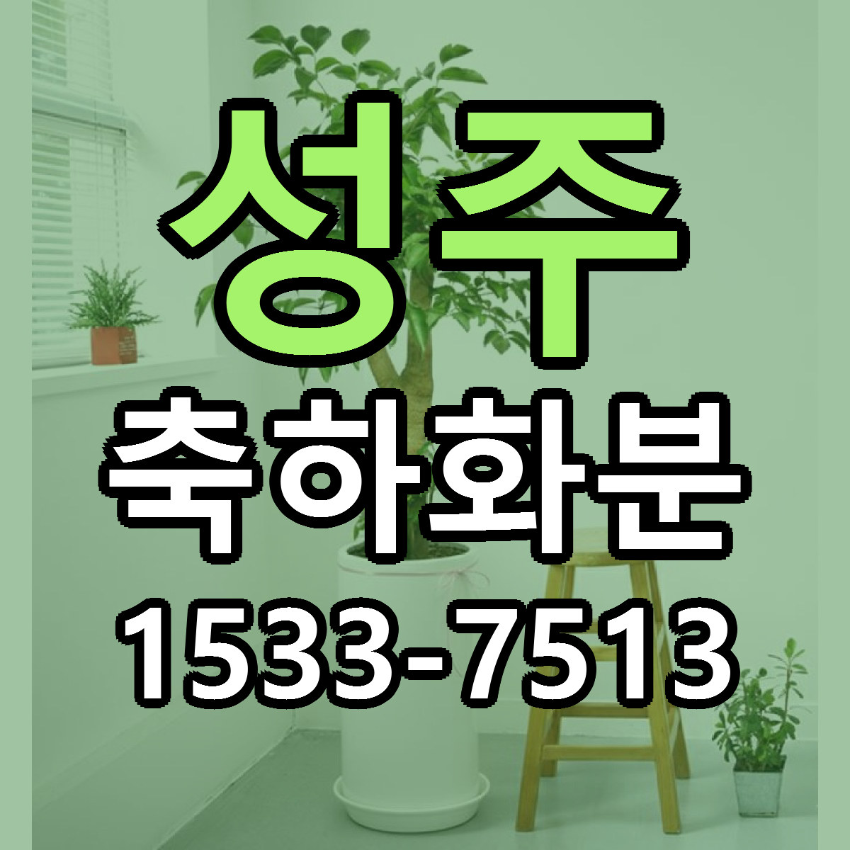 성주 축하화분 당일배송 리본문구 빠른배송 서비스