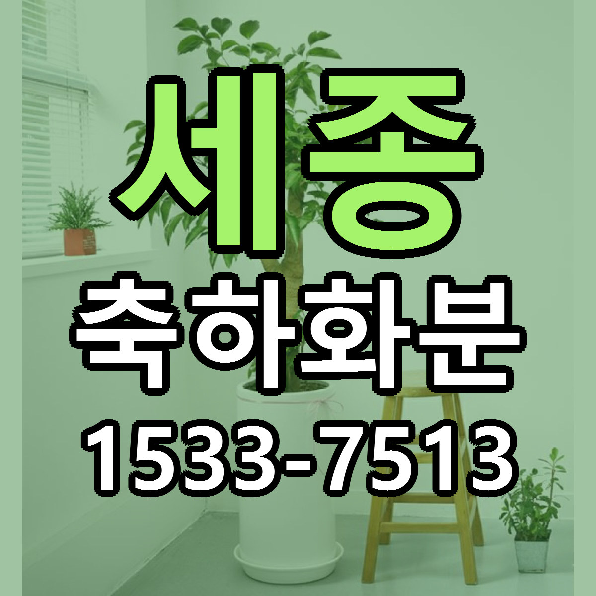 세종 축하화분 당일배송 저렴한곳 리본문구 추천