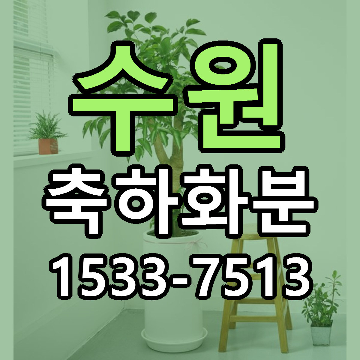 수원 축하화분 빠른배송 리본문구 근처꽃집 예약