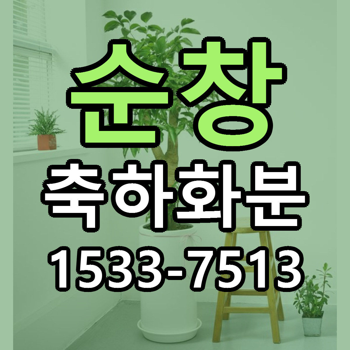순창 축하화분 싼곳 당일배송 빠른배송 추천
