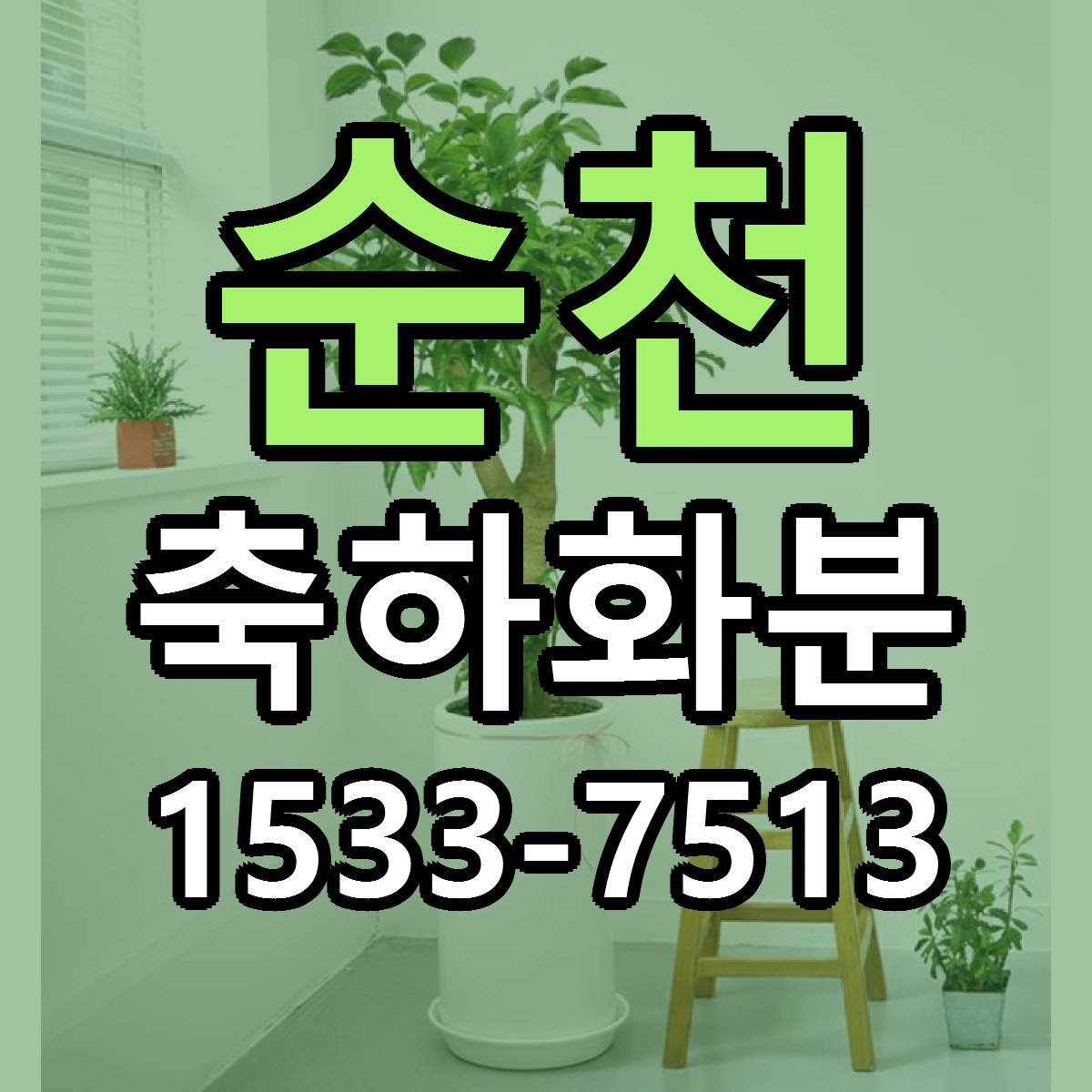 순천 축하화분 빠른배송 리본문구 가격 알뜰 비교