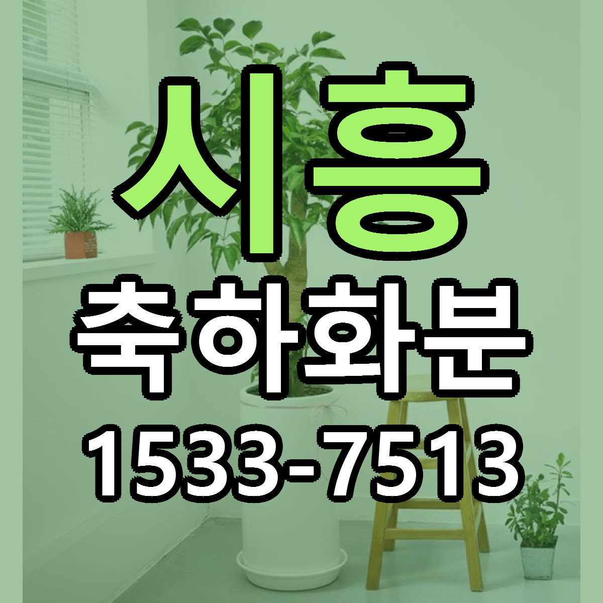 시흥 축하화분 당일배송 가격 저렴한곳 추천