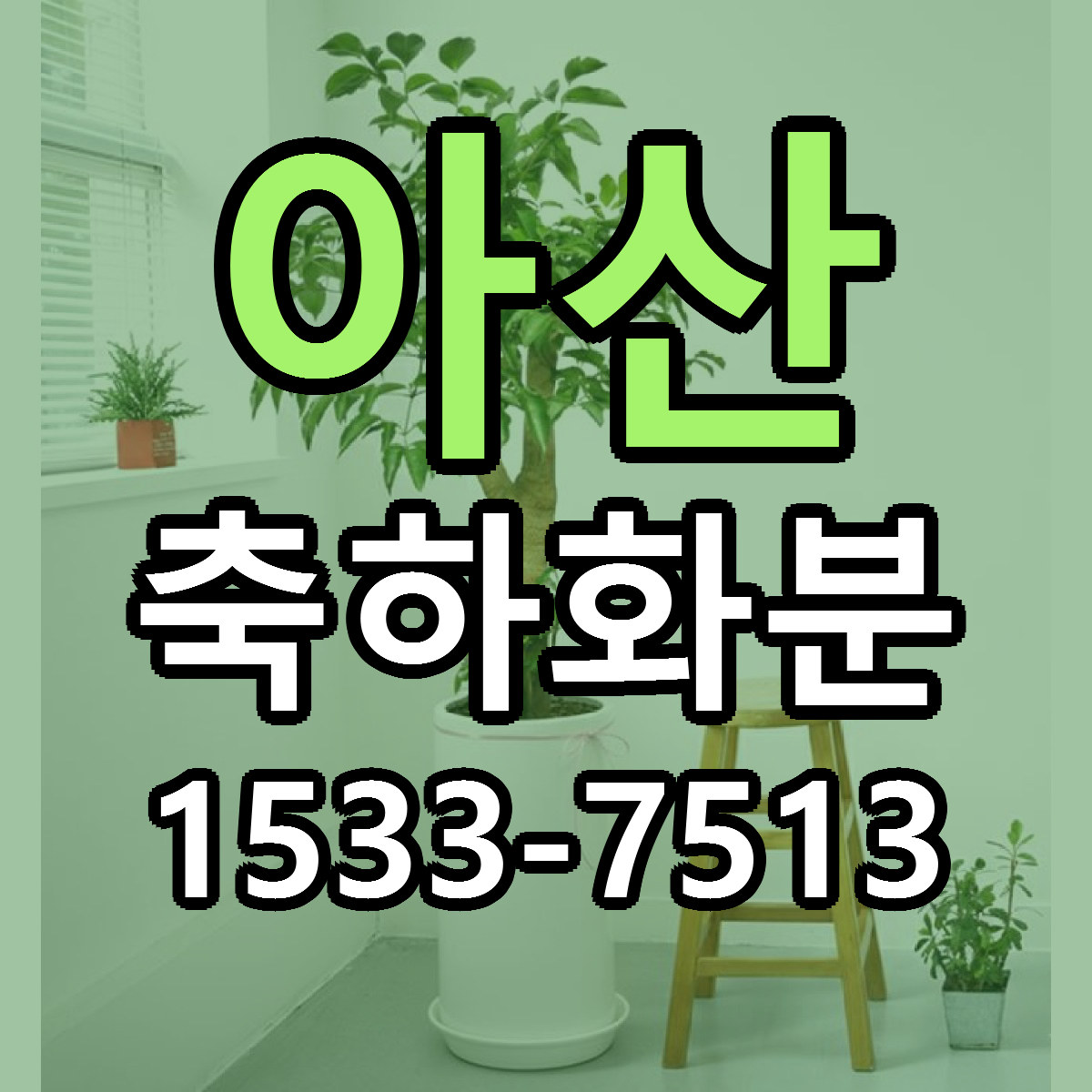 아산 축하화분 리본문구 서비스 저렴한곳 빠른배송