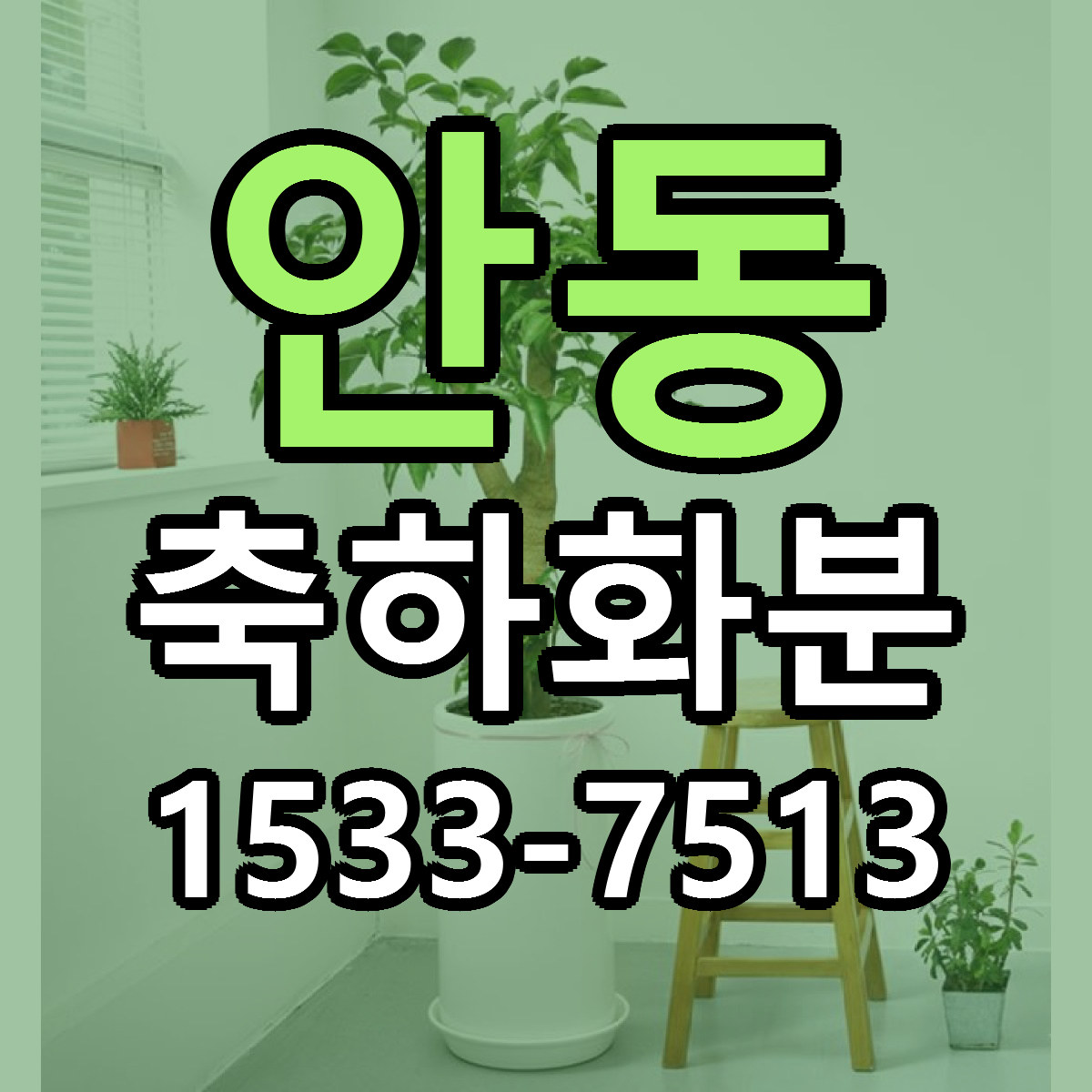 안동 축하화분 근처꽃집 당일배송 가격 안내
