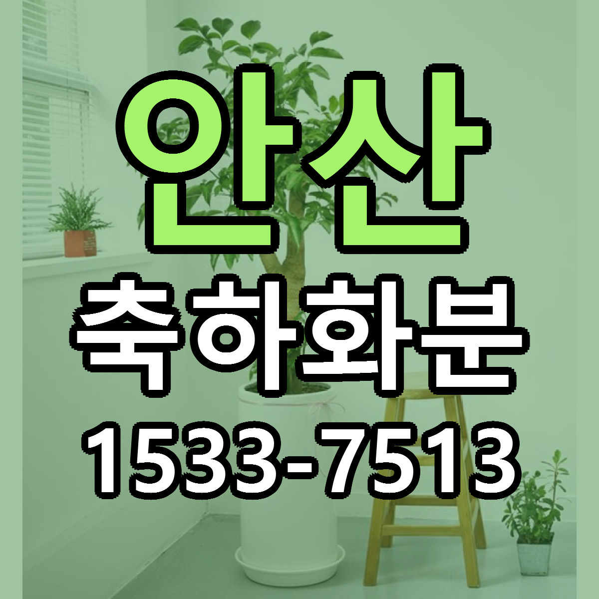안산 축하화분 리본문구 싼곳 빠른배송 예약
