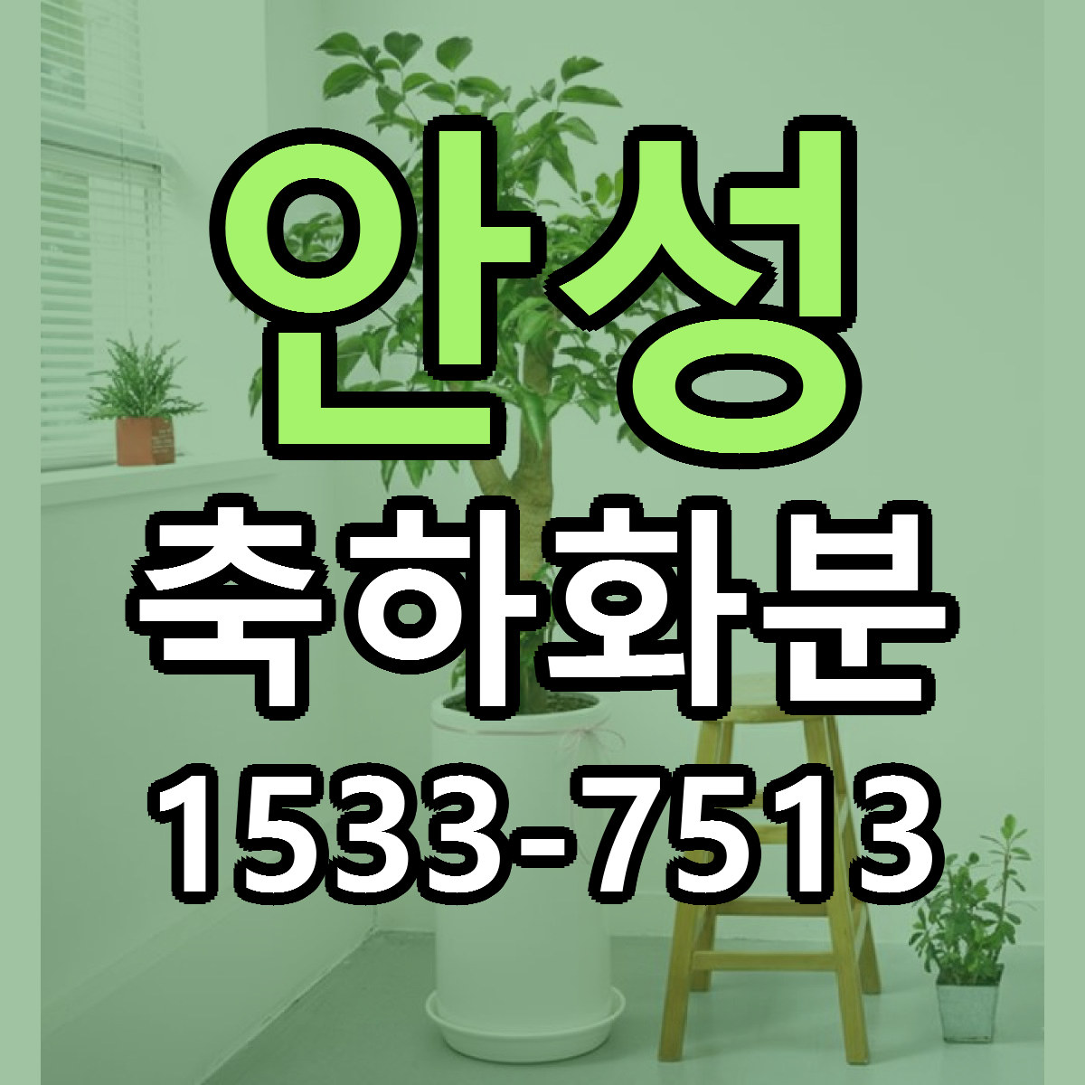 안성 축하화분 근처꽃집 당일배송 싼곳 추천