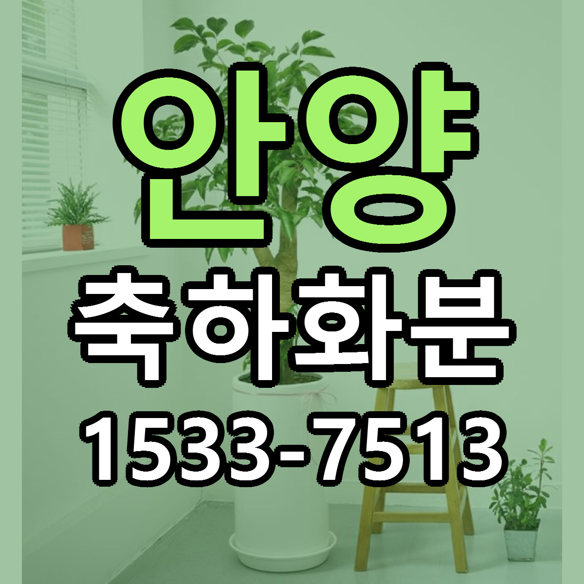 안양 축하화분 저렴한곳 당일배송 가격 만족