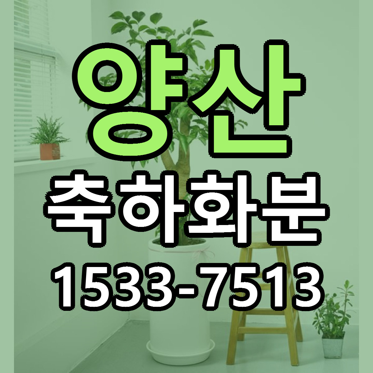 양산 축하화분 당일배송 근처꽃집 싼곳 비교