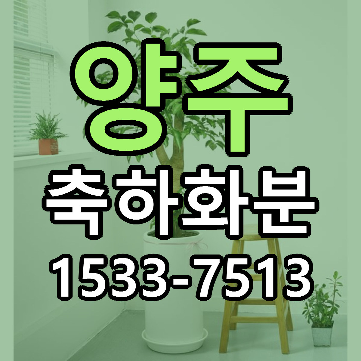 양주 축하화분 당일배송 가격 저렴한곳 추천