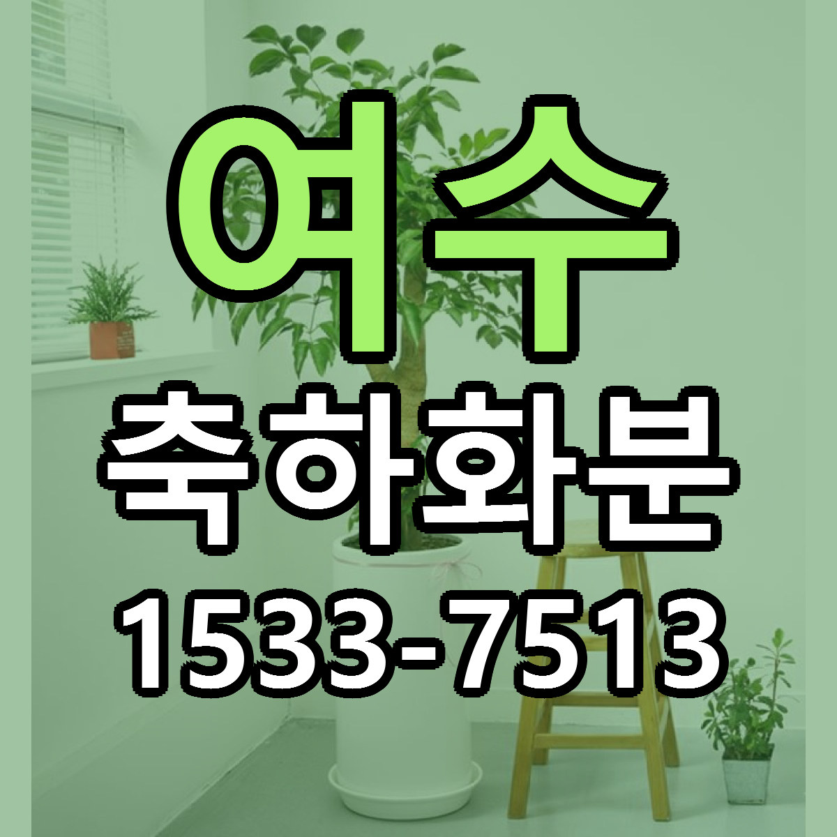 여수 축하화분 빠른배송 가격 저렴한곳 찾기