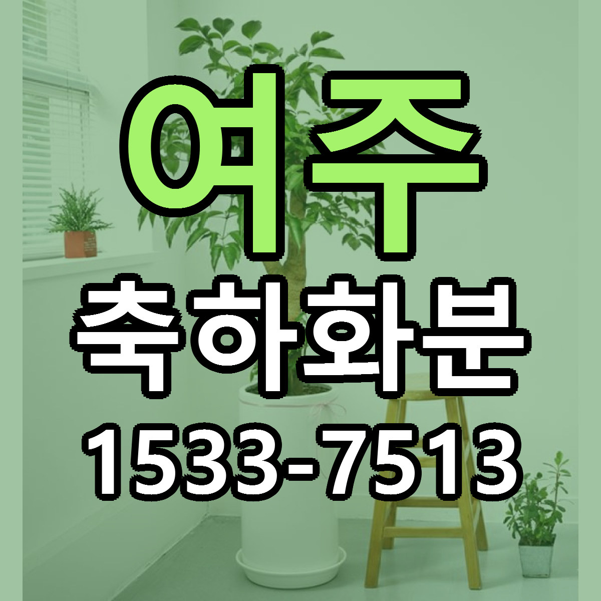 여주 축하화분 리본문구 근처꽃집 저렴한곳 예약
