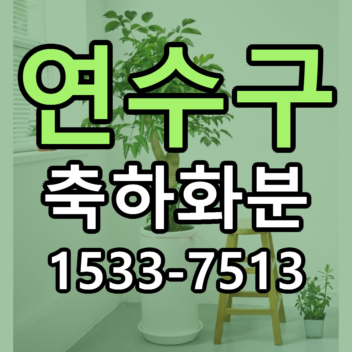 연수구 축하화분 근처꽃집 싼곳 빠른배송 안내