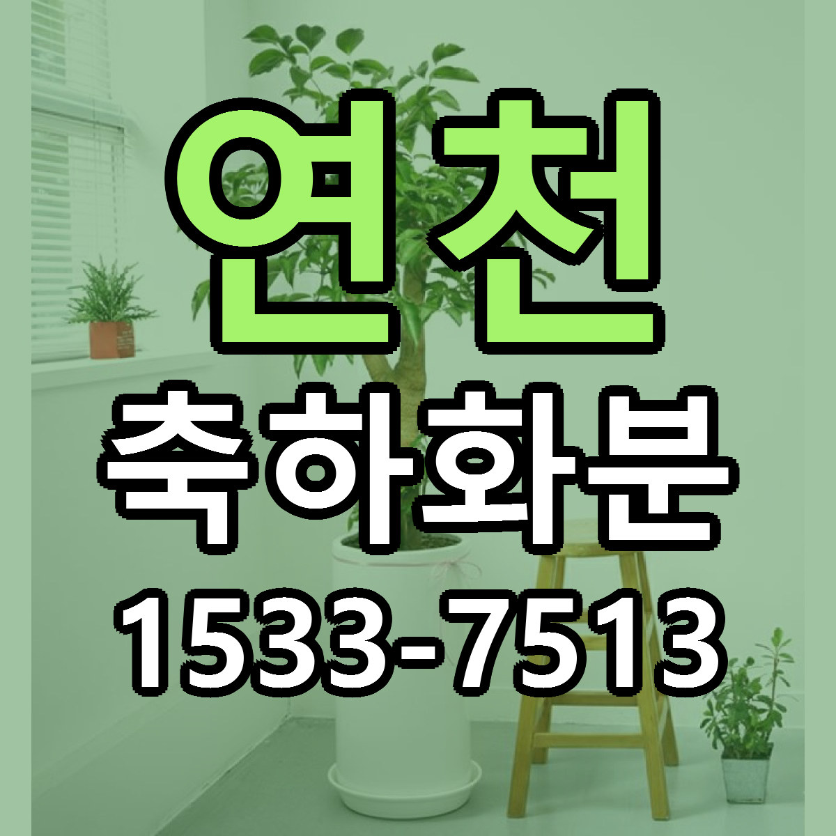 연천 축하화분 가격 만족 저렴한곳 리본문구 작성