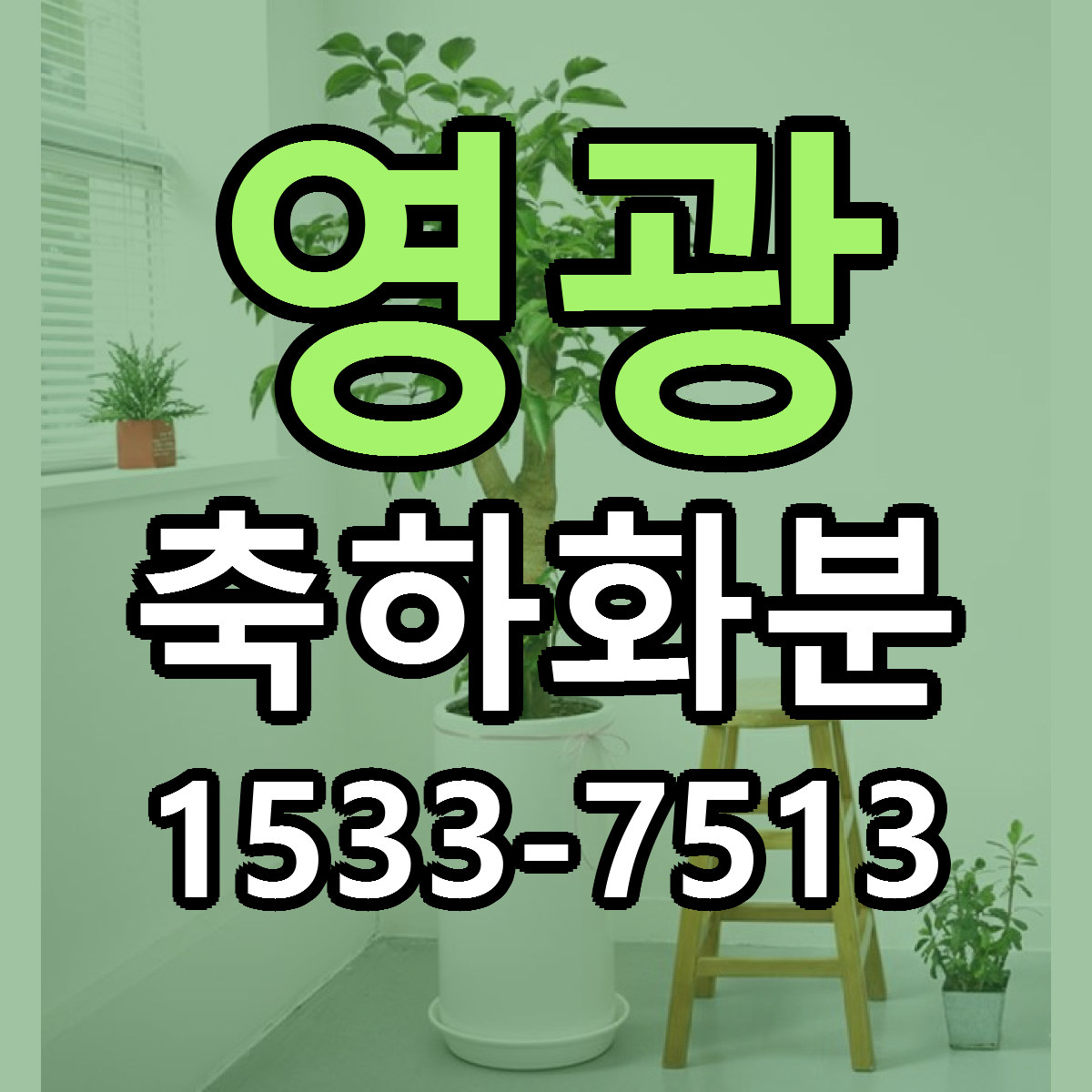 영광 축하화분 빠른배송 리본문구 근처꽃집 예약
