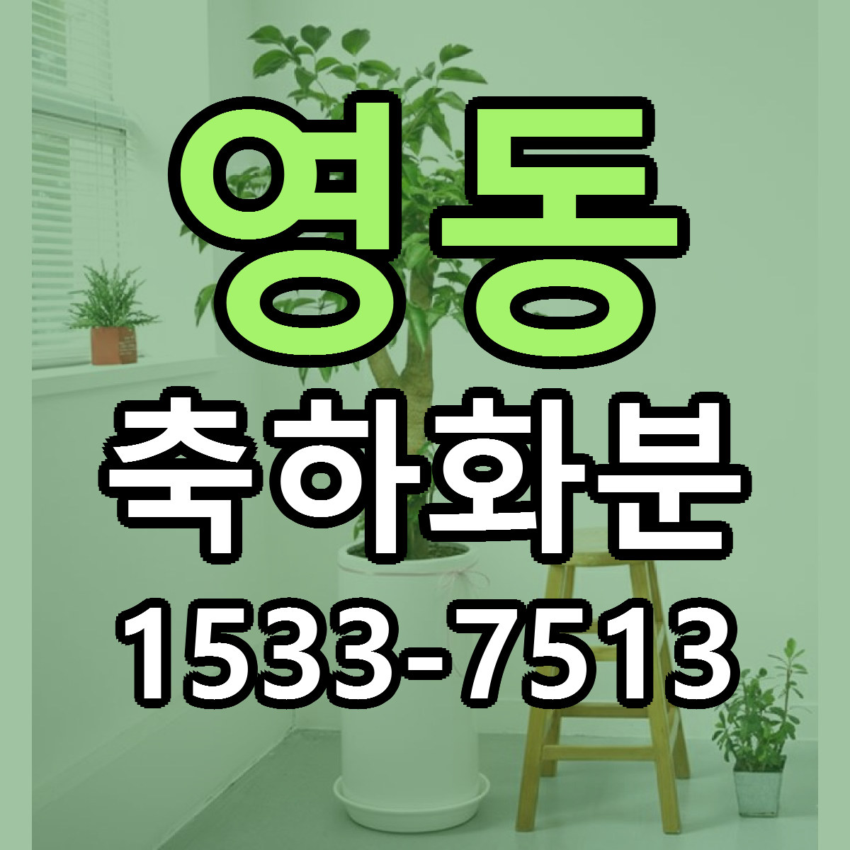영동 축하화분 빠른배송 싼곳 가격 문의