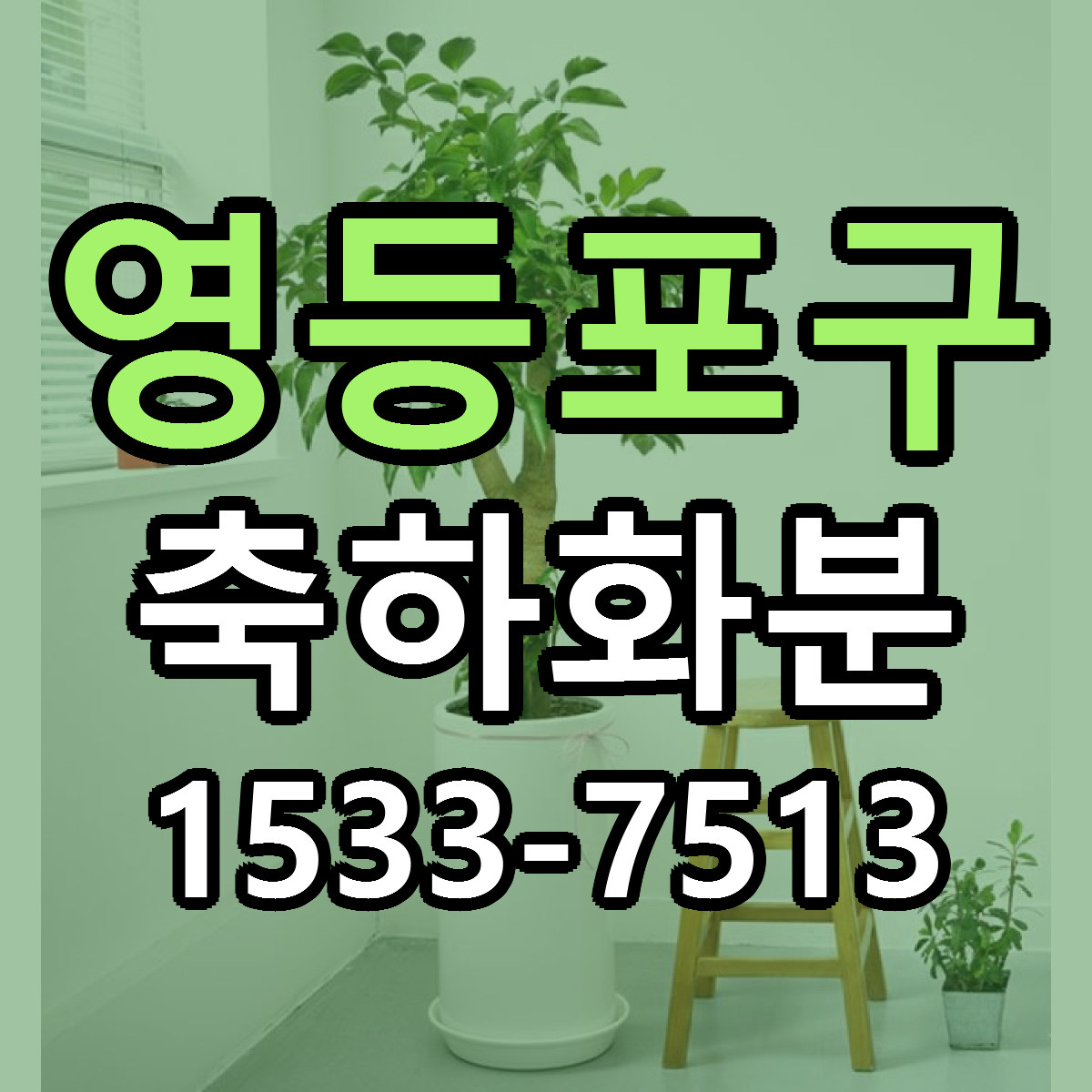 영등포구 축하화분 빠른배송 가격 저렴한곳 찾기