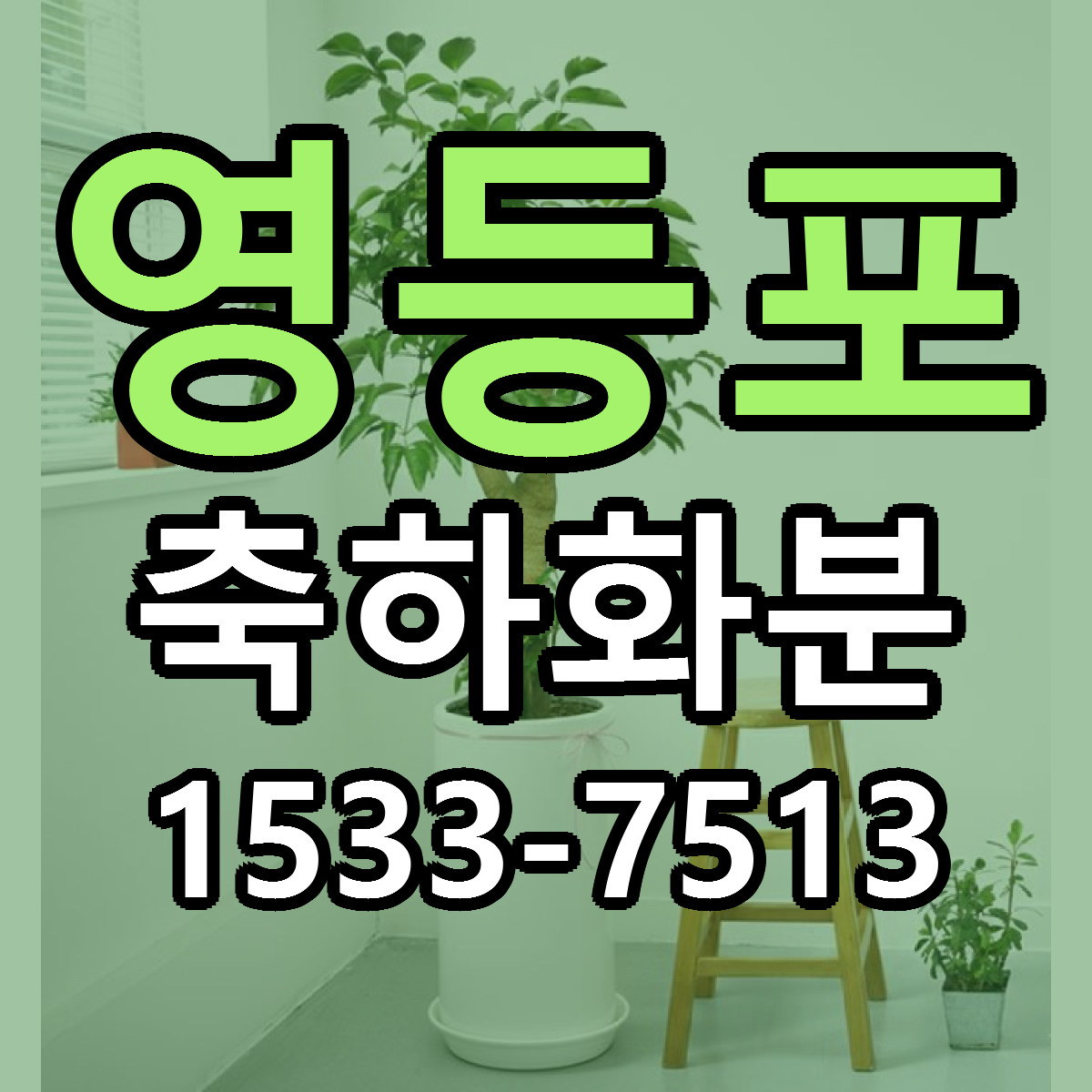 영등포 축하화분 빠른배송 싼곳 가격 문의