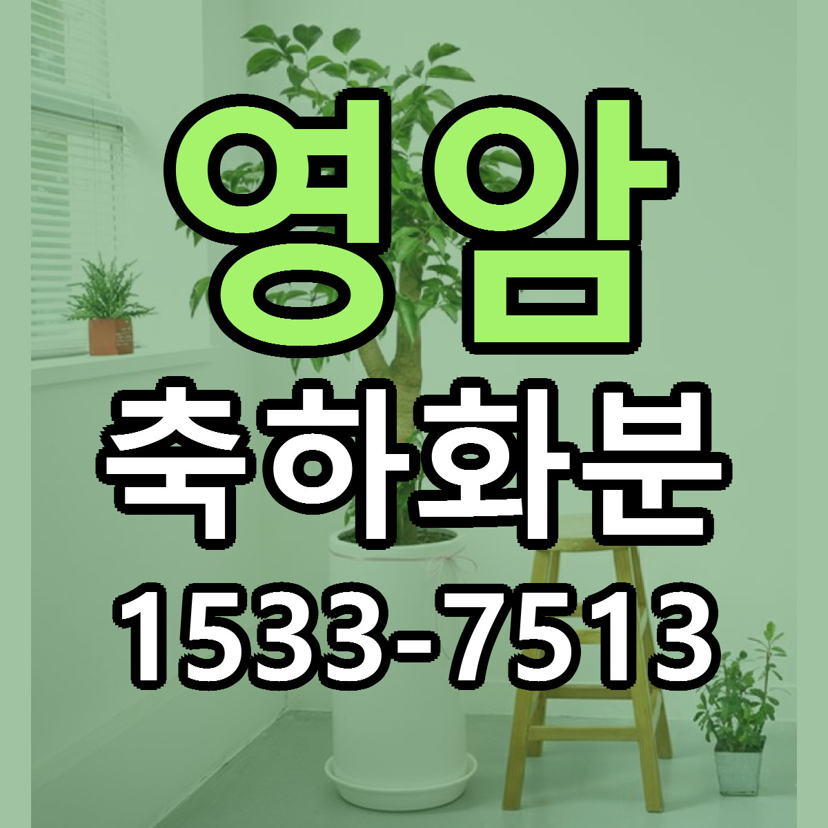 영암 축하화분 당일배송 가격 저렴한곳 추천