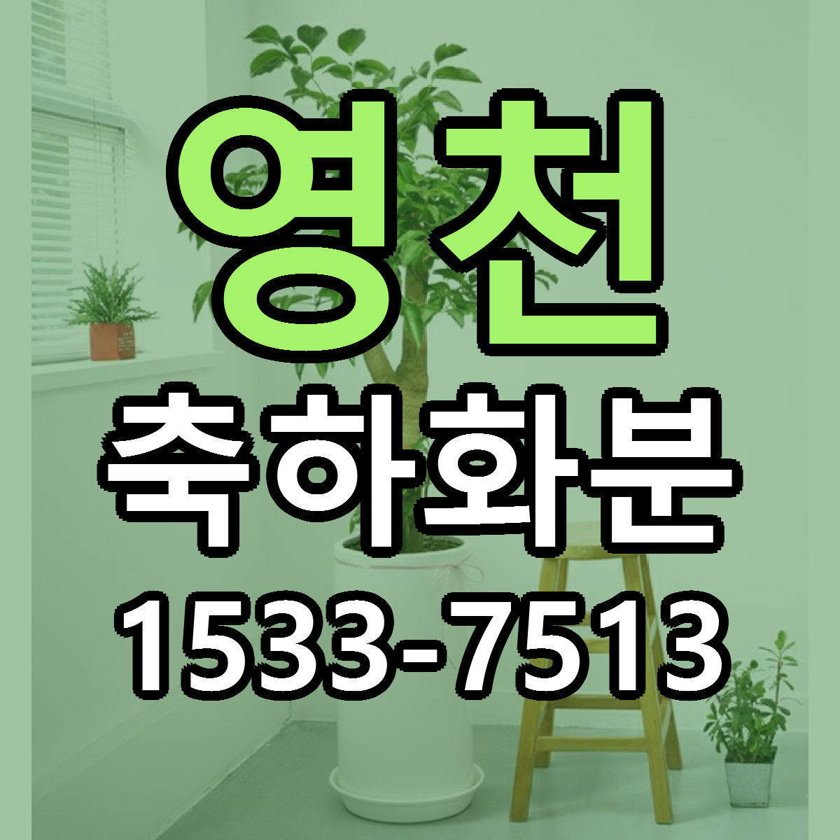 영천 축하화분 가격 착한 싼곳 당일배송 안내