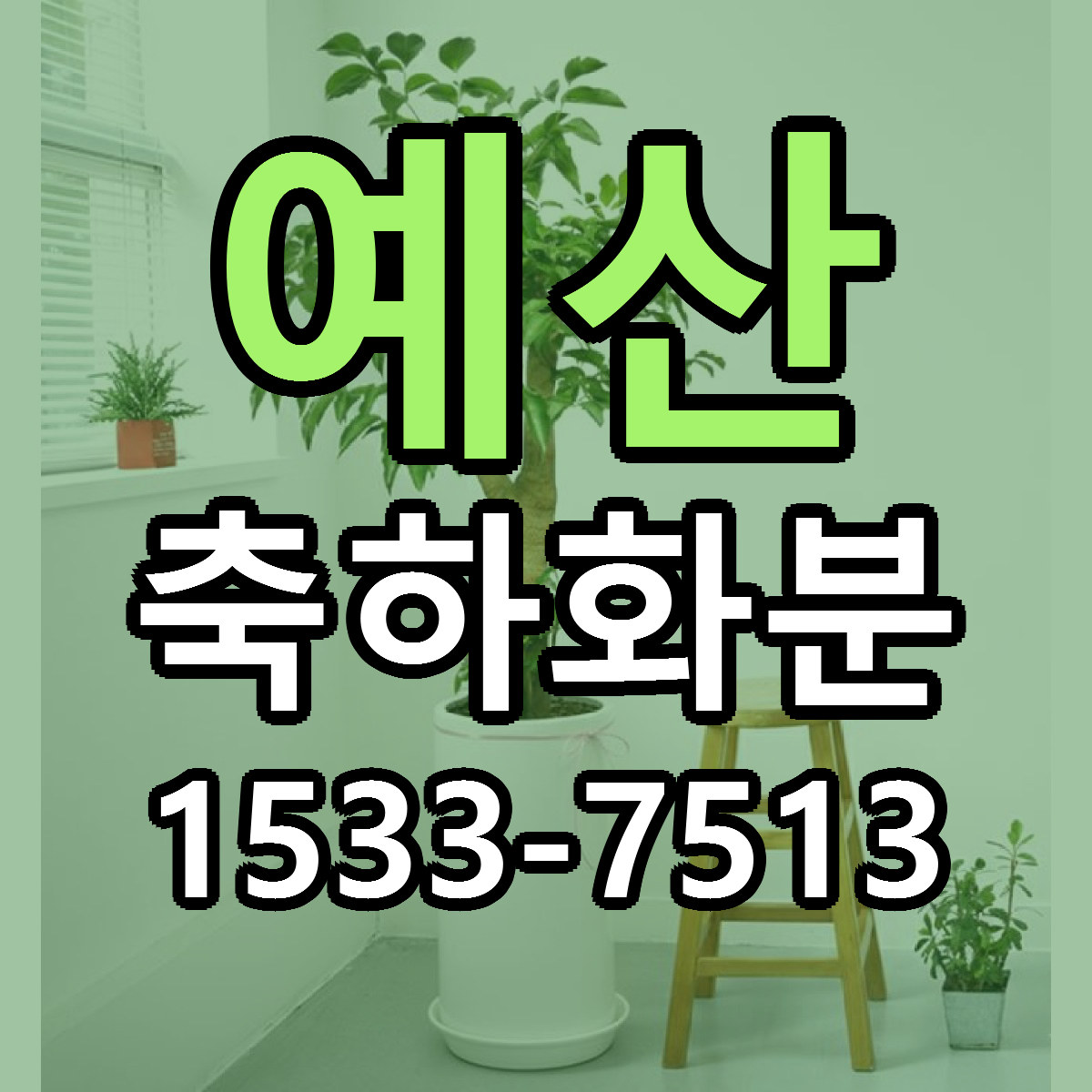 예산 축하화분 리본문구 서비스 저렴한곳 빠른배송