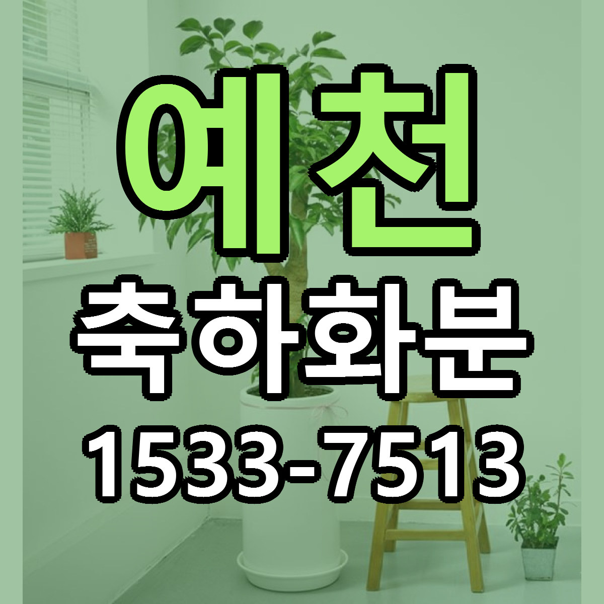 예천 축하화분 빠른배송 싼곳 가격 문의
