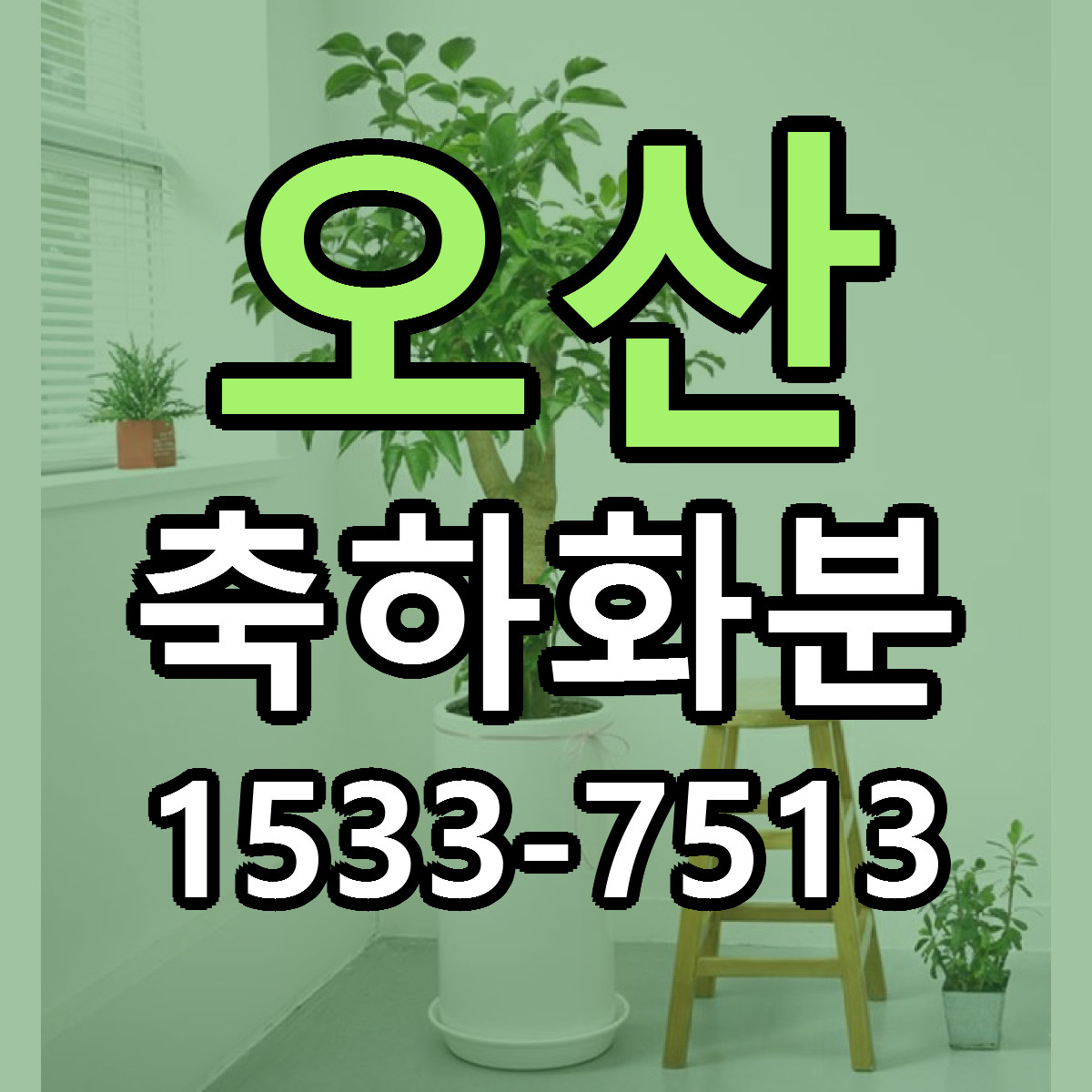 오산 축하화분 가격 만족 저렴한곳 리본문구 작성