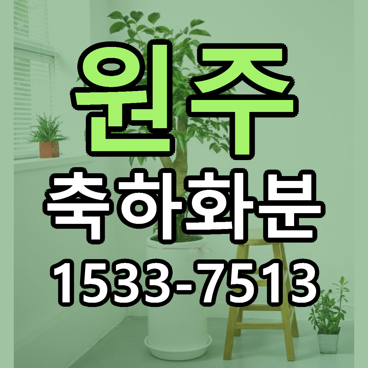 원주 축하화분 가격 만족 저렴한곳 리본문구 작성