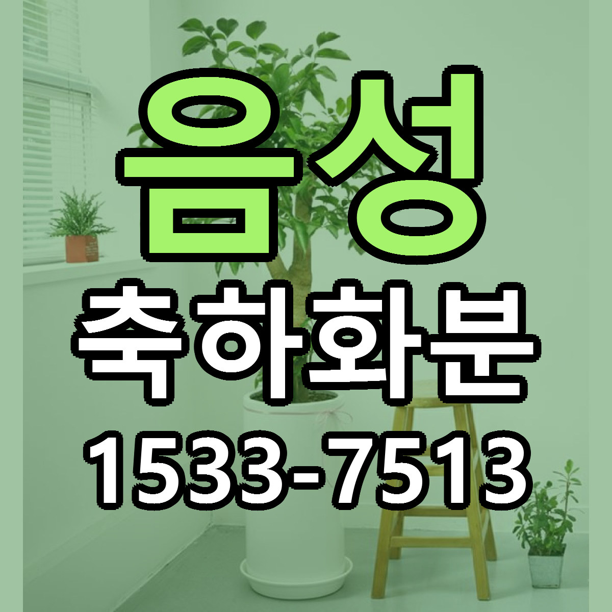 음성 축하화분 당일배송 저렴한곳 리본문구 추천